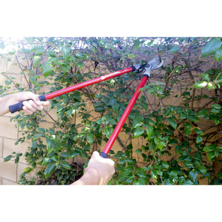 Corona SP10001 · Lopper + Pruner Bonus Pack