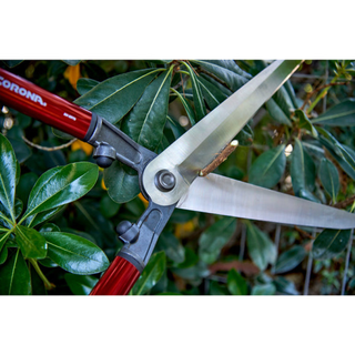 Corona AH 6970 LimbNOTCH Blade Hedge Shears - 10½ Inch