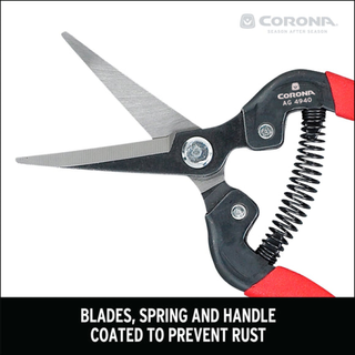Corona AG 4940  Long Curved Snips - Tempered Steel, 1¾ Inch