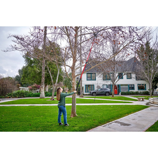 Corona TP 6830 Dual Compound-Action Tree Pruner - 12 Foot