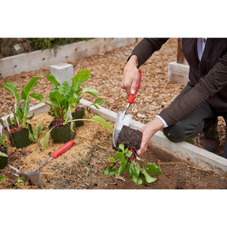 Corona CT 3324 ComfortGEL® Transplanter Premium StainlessSTEEL