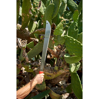 Corona MA 60062 · Machete - 22 Inch