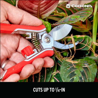 Corona BP13624 · Mini House Plant Pruner