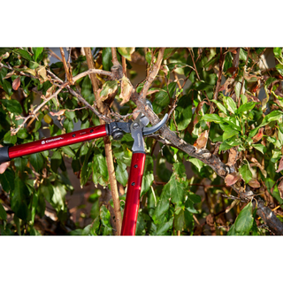 Corona AL 8350  ClassicCUT® Bypass Lopper - 20 Inch