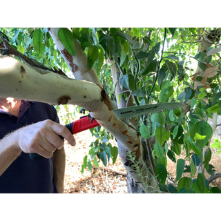 Corona RS 7041 · RazorTOOTH Saw Arborist Folding Pruning Saw - 7 Inch