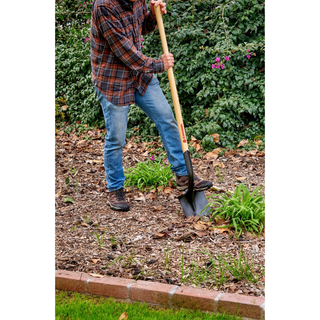 Corona SS 60000 Closed-Back, Round Point Shovel, 14-Gauge, 12 in. Head, 48 in. Wood Handle