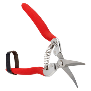 Corona AG 4940SS  Long Curved Snips - Stainless Steel, 1¾ Inch