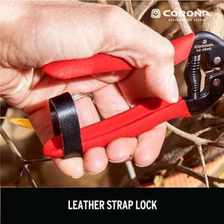 Corona AG 4940  Long Curved Snips - Tempered Steel, 1¾ Inch