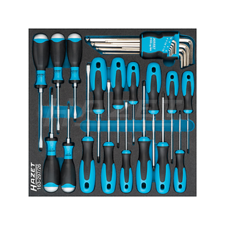 Hazet 163-297/26  Screwdriver set