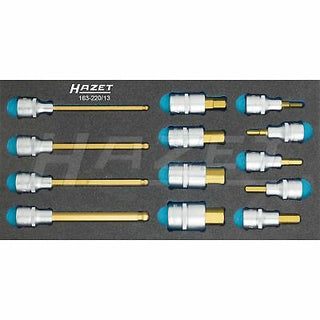 Hazet 163-220/13  Screwdriver socket set