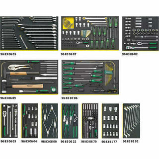 Stahlwille 97830600  2500 TCS Workshop set for BMW vehicles