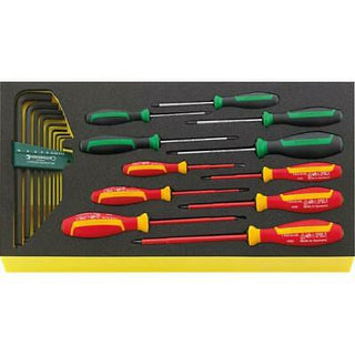 Stahlwille 96830129 TCS WT 4650-4665-1 screwdriver set DRALL+