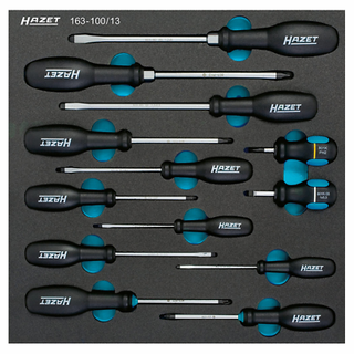 Hazet 163-100/13 Screwdriver Set, 13 pieces