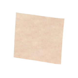 Scotch-Brite Clean and Finish Sheet, 6 in x 9 in T