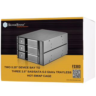 SilverStone FS303B Drive Storage