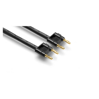 Hosa SKJ-610BB 10' Speaker Cable