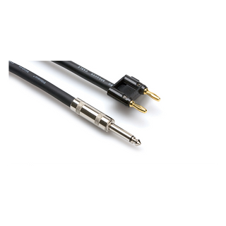 Hosa SKJ-603BN 3' Speaker Cable