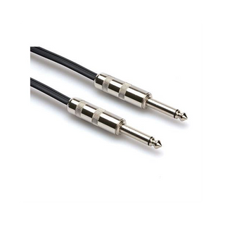 Hosa SKZ-603 3' Speaker Cable