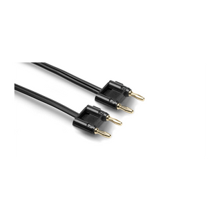 Hosa SKZ-610BB 10' Speaker Cable