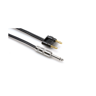 Hosa SKZ-603BN 3' Speaker Cable