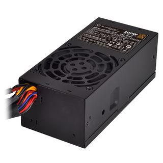 SilverStone TX300 Power Supply