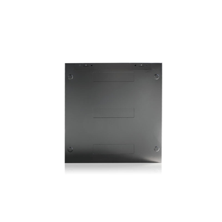 iStarUSA WM1245B 12U 450mm Depth Wallmount Server Cabinet